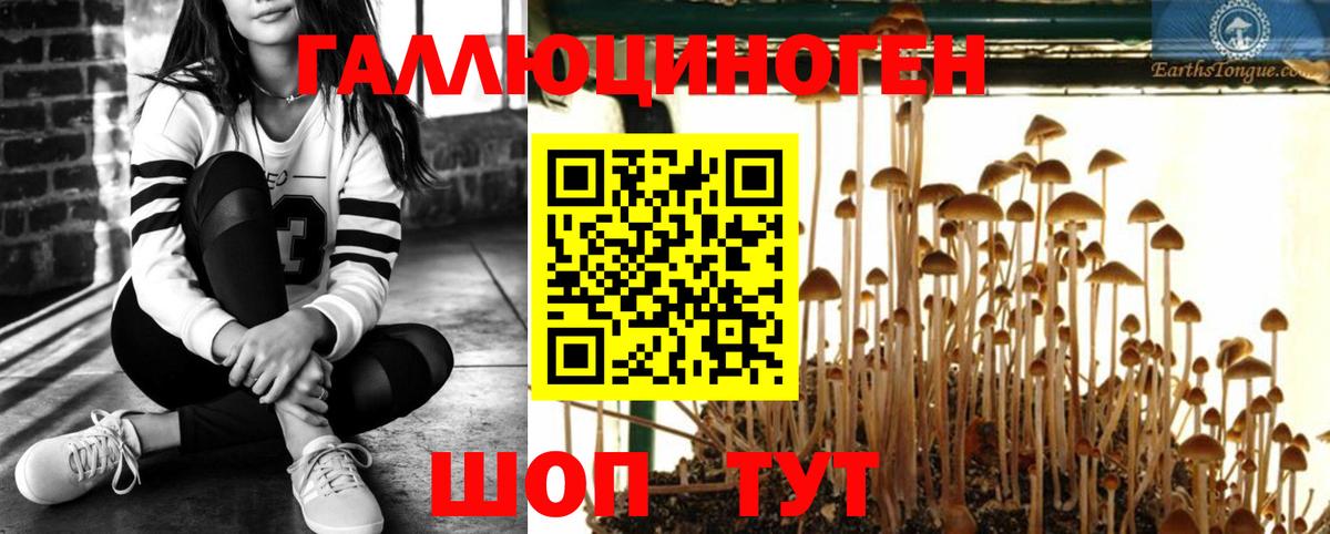 Галлюциногенные грибы GOLDEN TEACHER Вятские Поляны