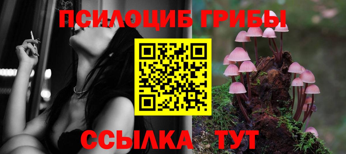 Вятские Поляны  Псилоцибиновые грибы мицелий  Вход с VPN 
